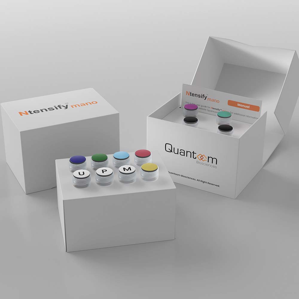 Quantoom Biosciences Launches Ntensify™ mano: A Groundbreaking kit for Rapid and Scalable mRNA Production