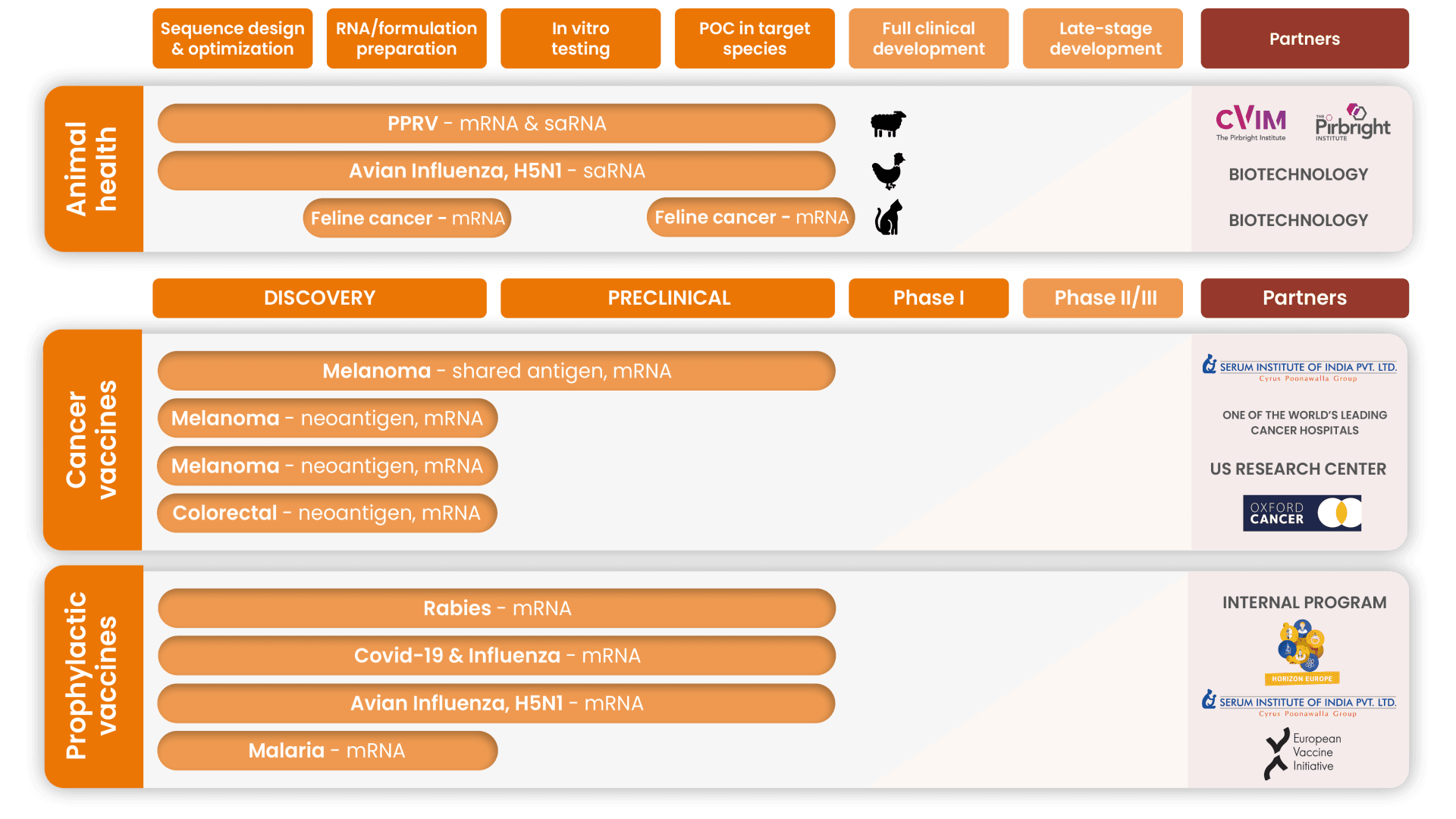 Illustrate the tailor-made partnership through the journey from RNA design to delivery.