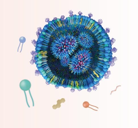 Quantoom Biosciences Signs Research License and Supply Agreement with Leading Global Cancer Center for mRNA Formulation Technology in Personalized Cancer Therapeutics